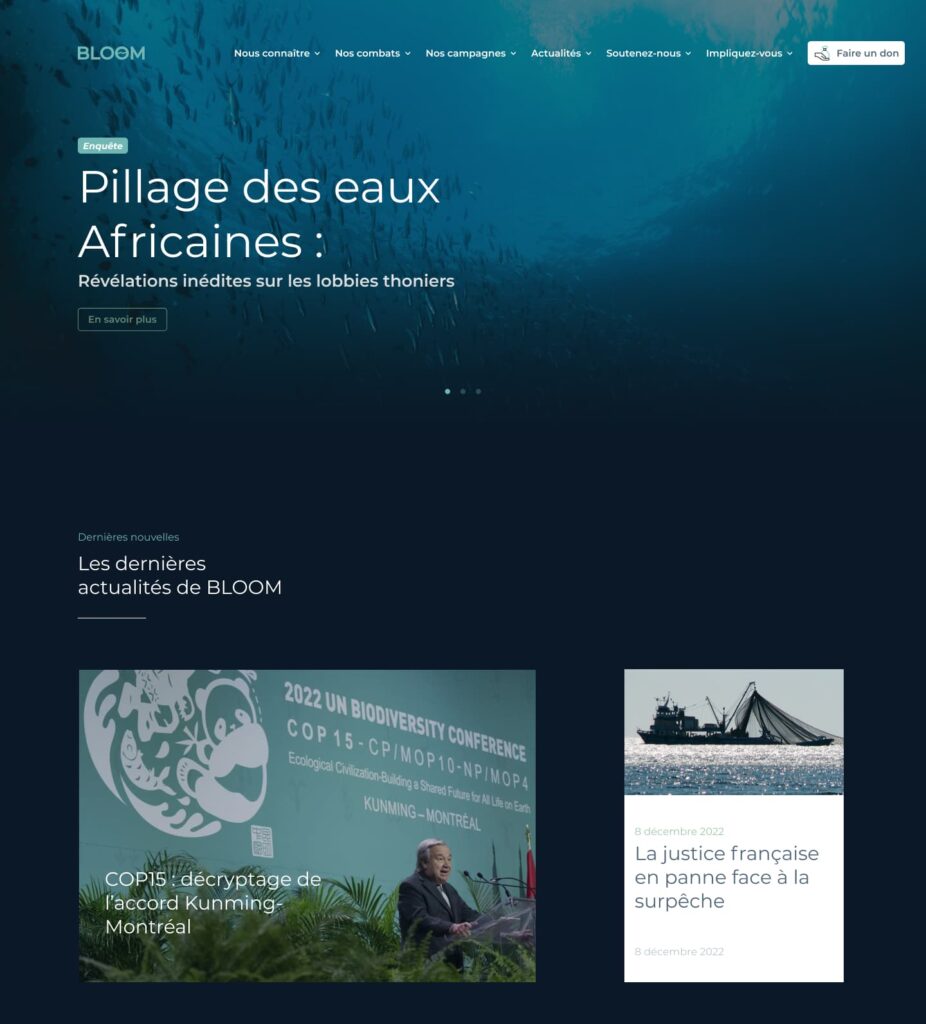Visuel de la homepage du site bloom
