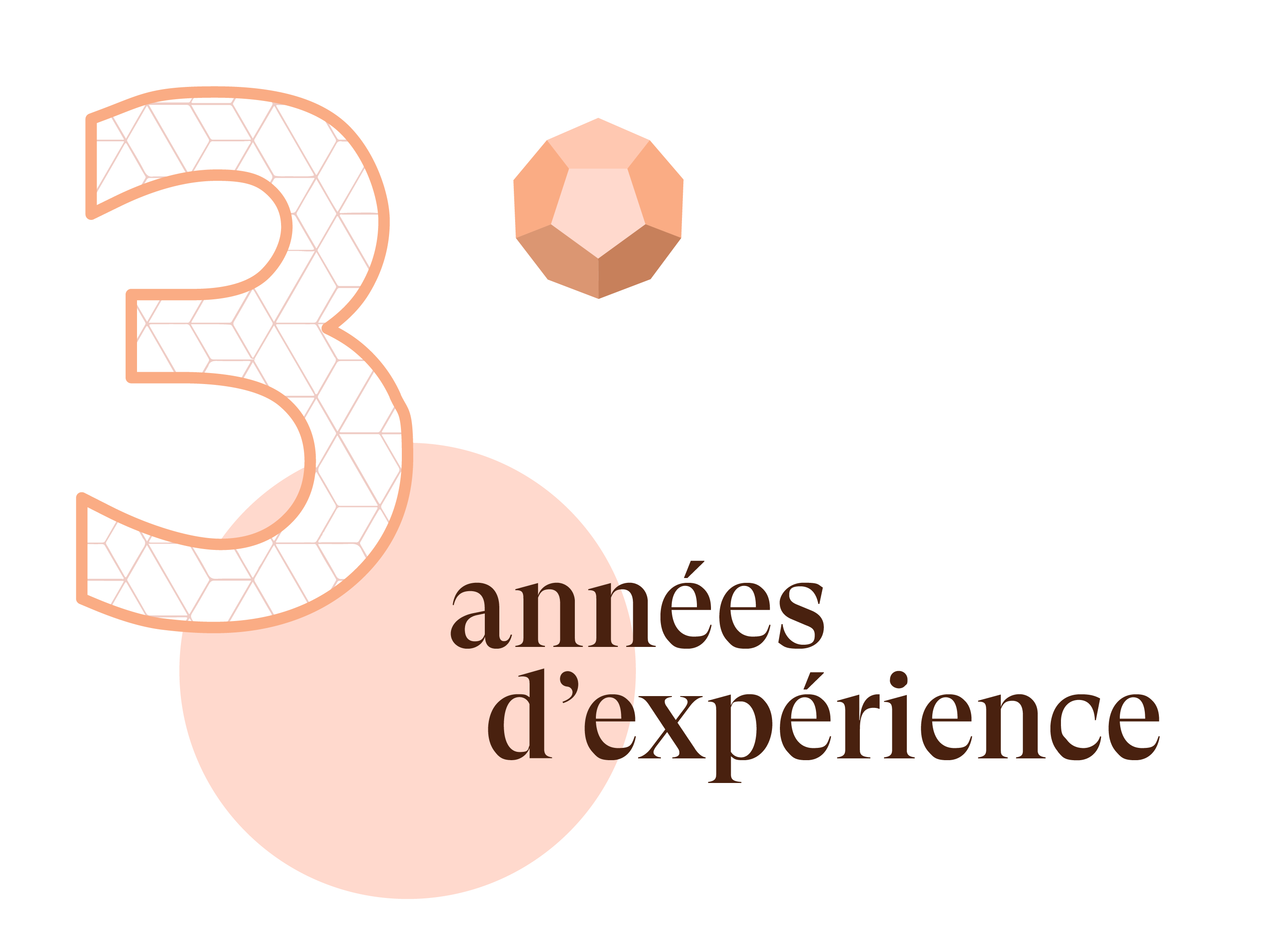 3 années d'experiences
